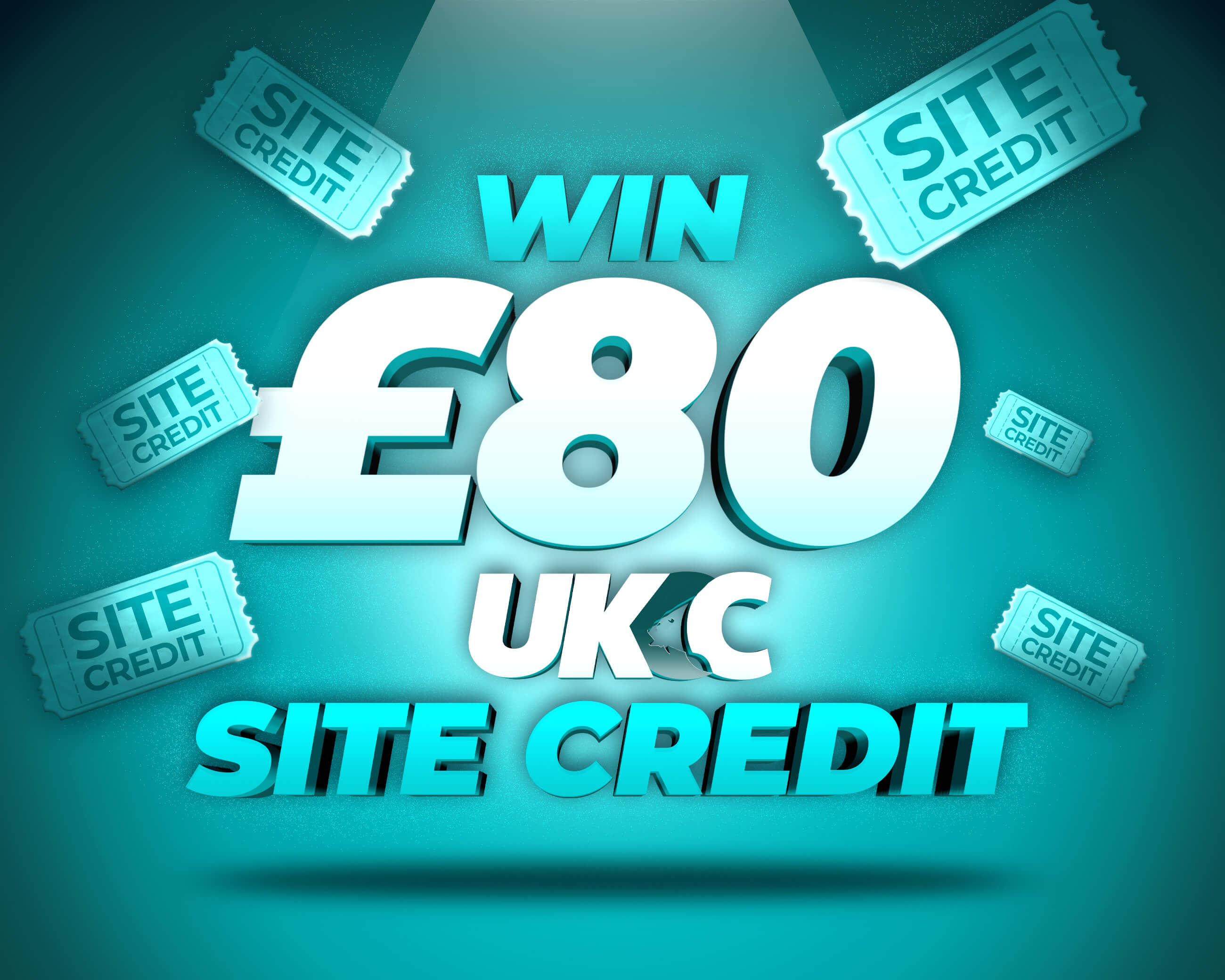 £80 SITE CREDIT!