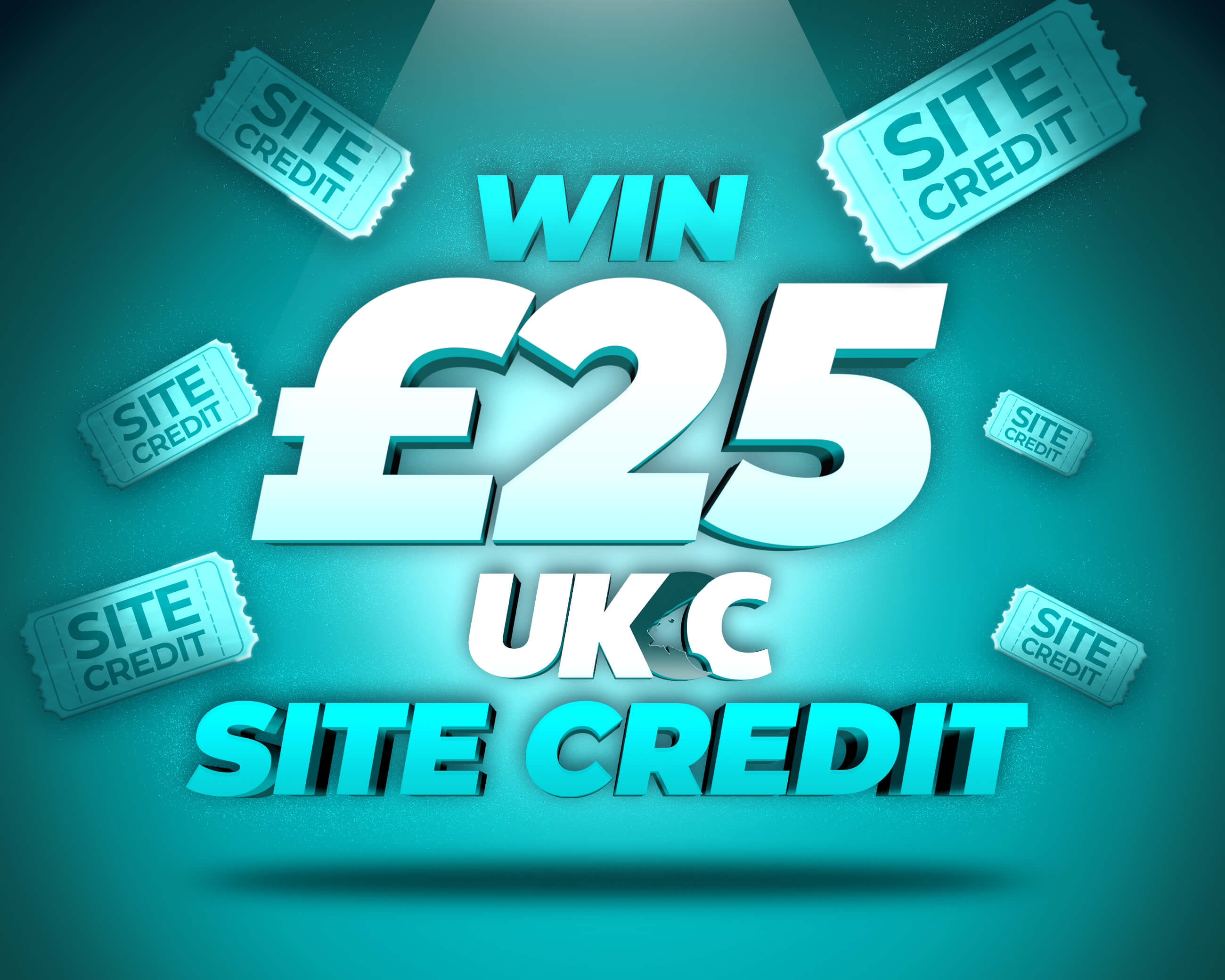 £25 SITE CREDIT!